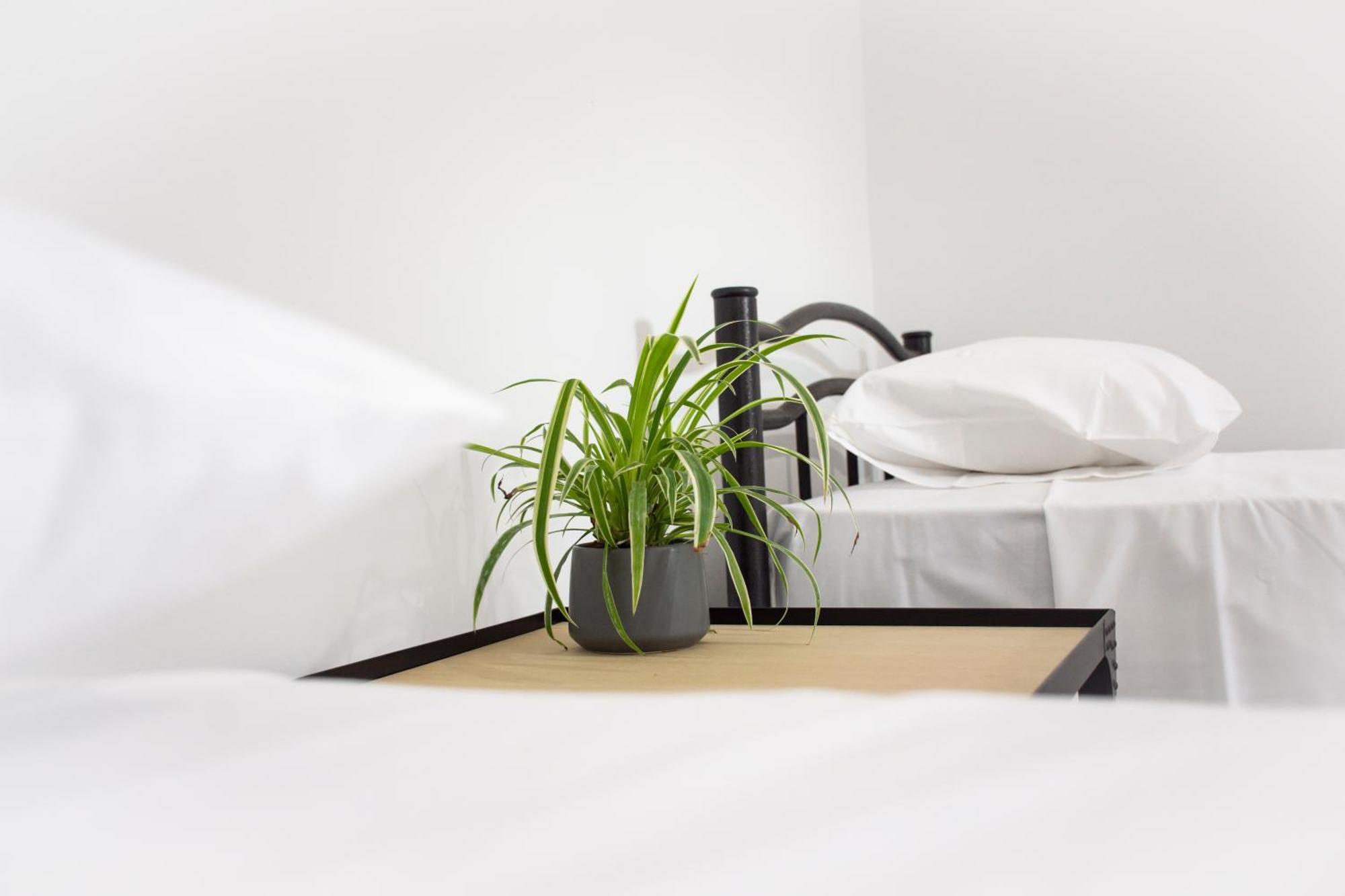 Christina Apartment Κίσσαμος Εξωτερικό φωτογραφία